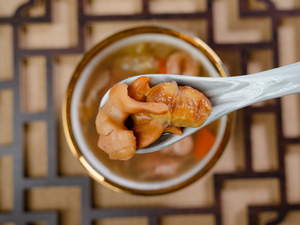 散水湯-栗子螺頭燉瘦肉湯